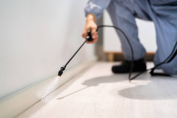 Licensed Termite Control service in Gillespie, IL - Nex Pest Control