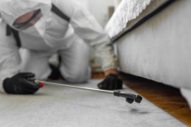 Professional Termite Control technician working in Gillespie, IL