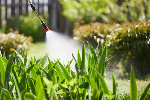 24/7 Emergency Termite Control experts in Gillespie, IL