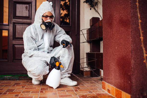 Reliable Termite Control contractor in Gillespie, IL by Nex Pest Control