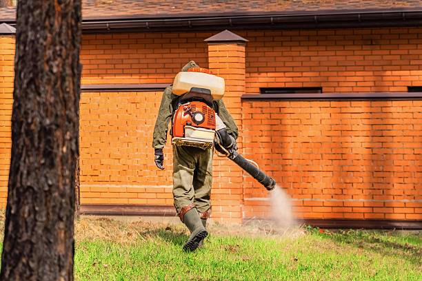 Top rated local Termite Control specialists in Gillespie, IL